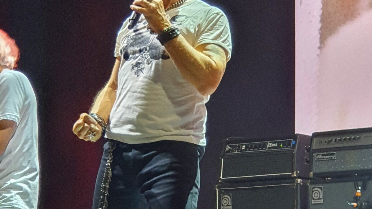 Dallas: Billy Idol at Dos Equis Pavilion
