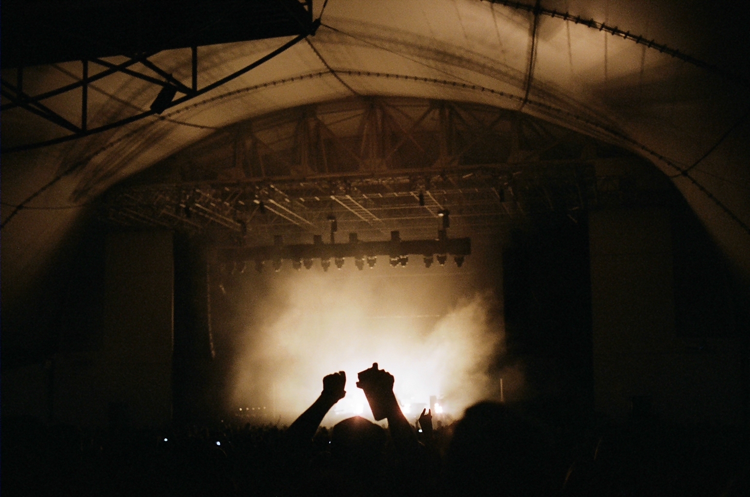 Silhouetted concertgoers at a live music show